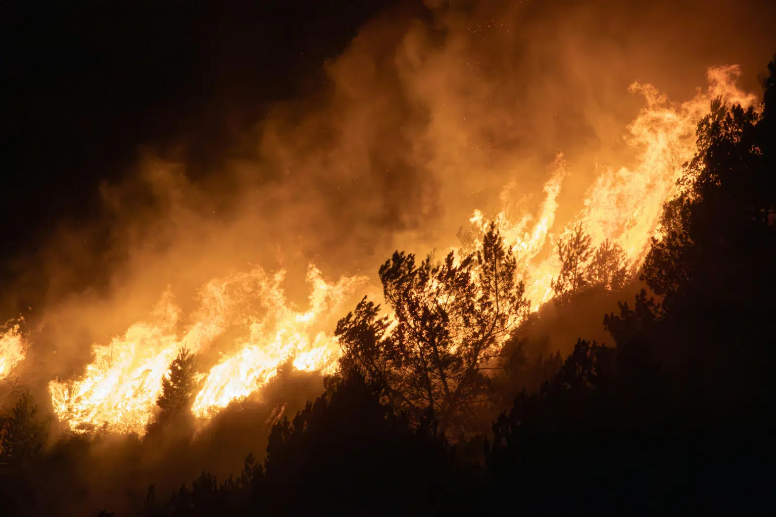 Best Backup Power Options During Wildfires
